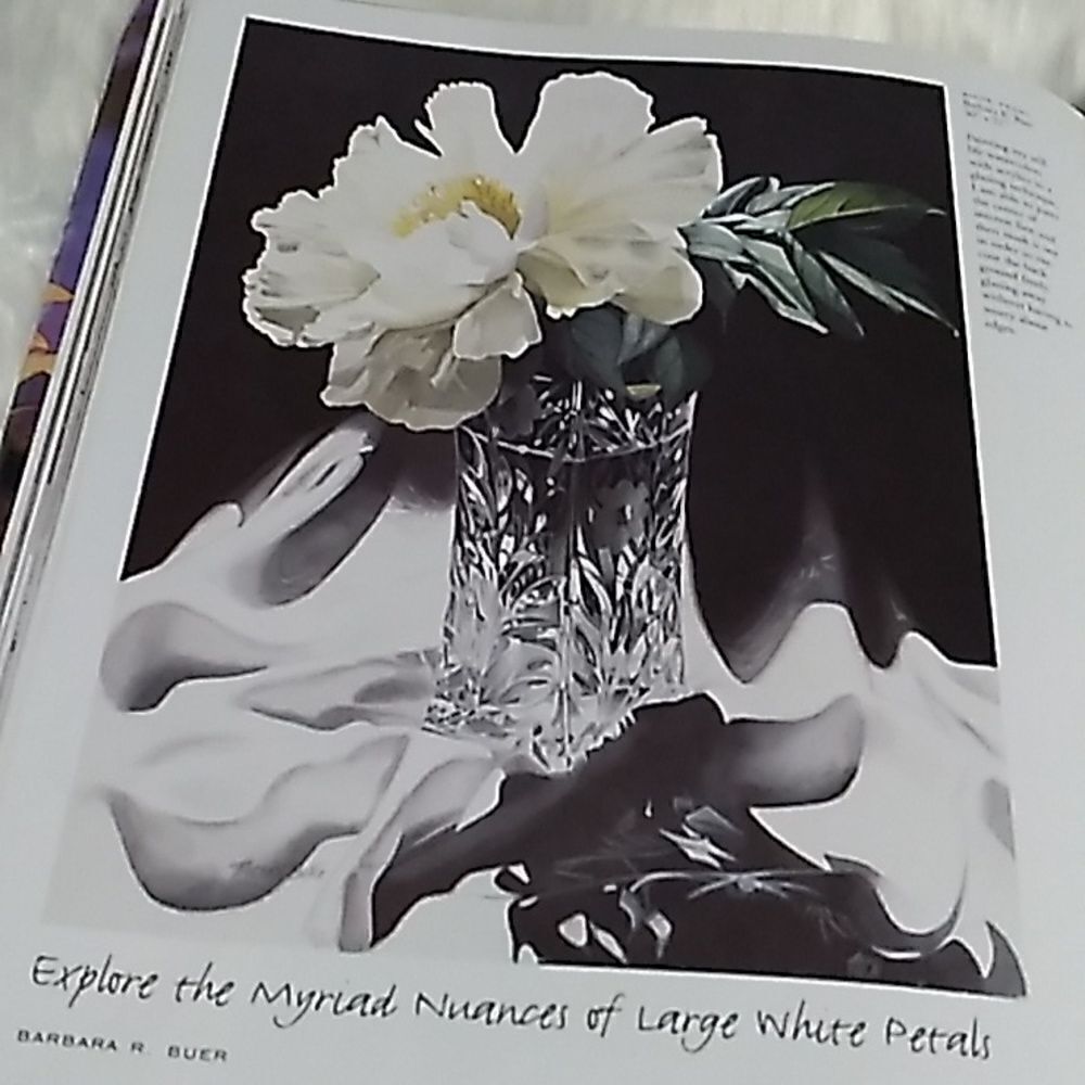 SPLASH 4 the spendlor of light hardcover artist watercolor coffeetable book - Picture 11 of 13